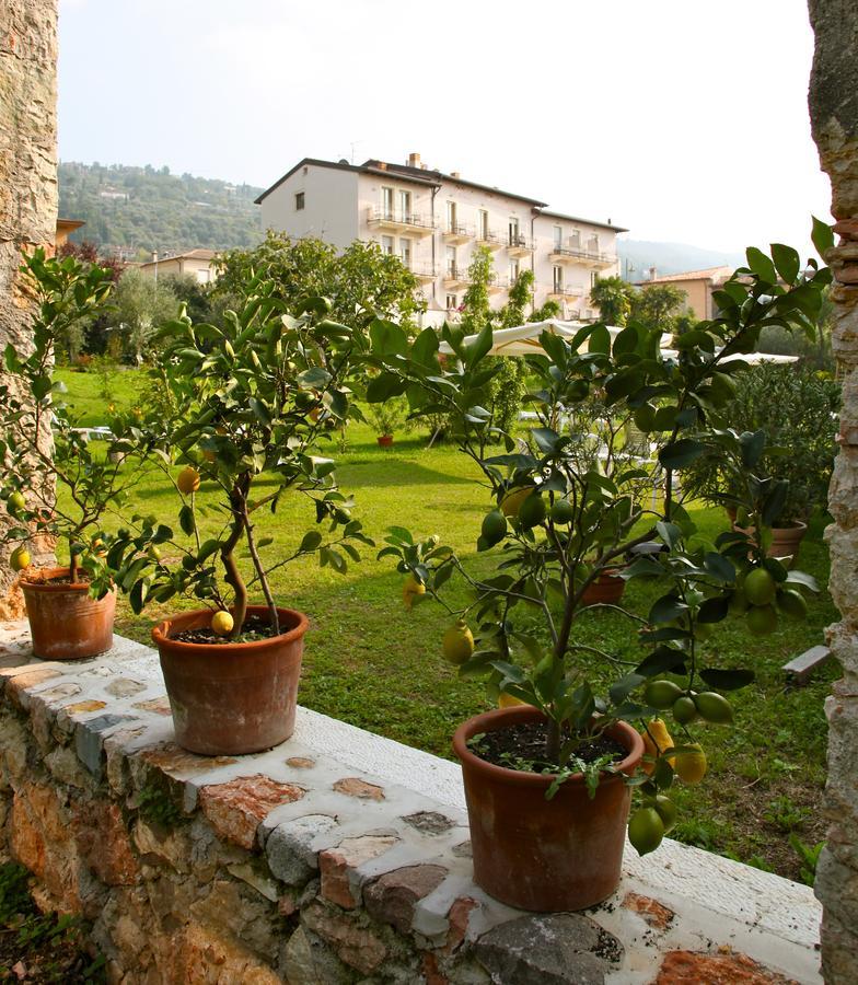 Belvedere *