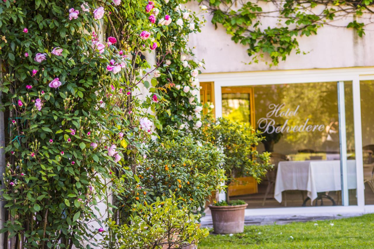 Hotel Belvedere *