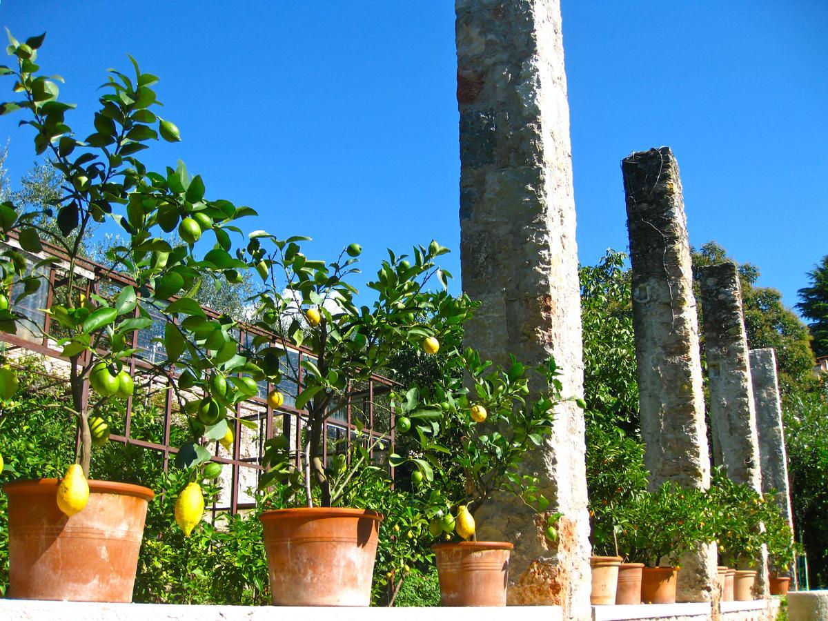 Belvedere Hotel *