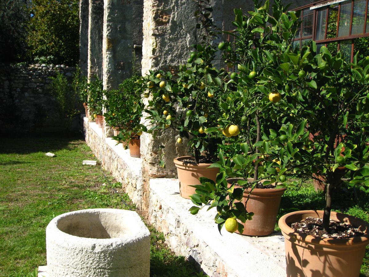 Hotel Belvedere